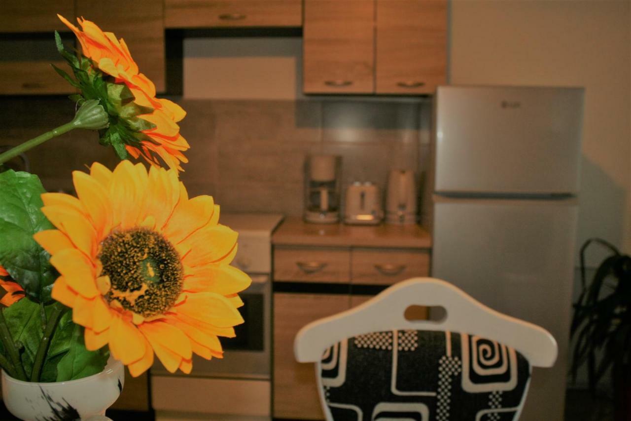 Casa Peterfi - Apartment With 3 Bedrooms And Spacious Living Room Târgu-Mureş Εξωτερικό φωτογραφία